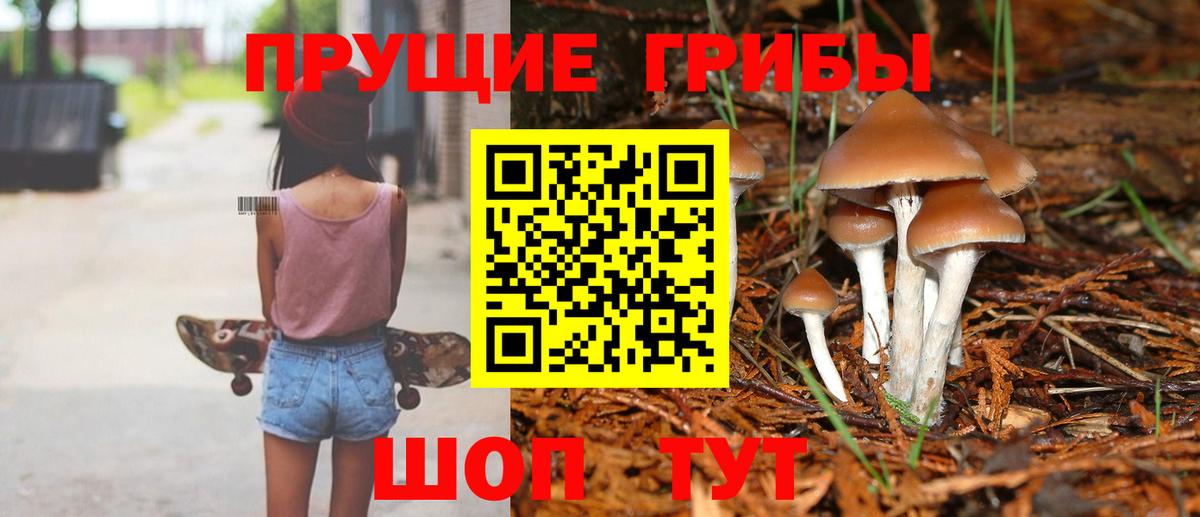 Галлюциногенные грибы Psilocybe  Вход с VPN  даркнет сайт  Галлюциногенные грибы мухоморы  Солнечногорск 