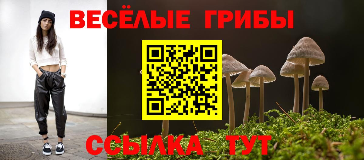 Псилоцибиновые грибы Magic Shrooms Солнечногорск